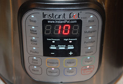 Instant pot online timer