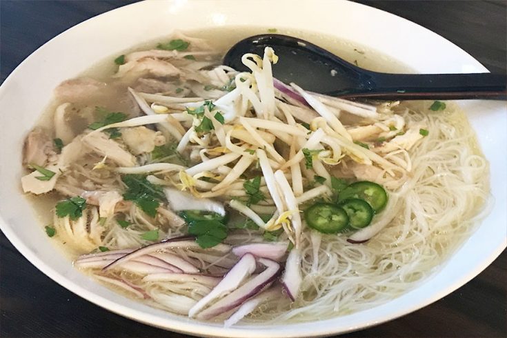 instant pot chicken pho