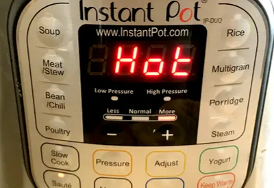 instant pot chicken noodles over mashed potatoes