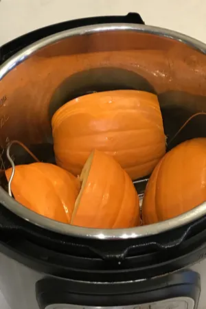 pumpkin puree