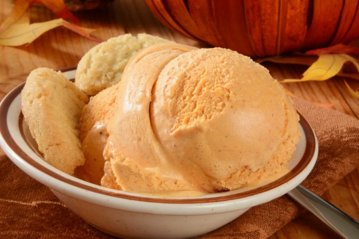 instant pot banana pumpkin ice cream