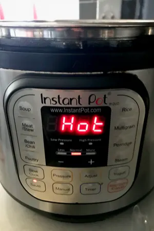 instant pot thanksgiving dressing