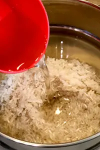 Instant pot chicken and rice