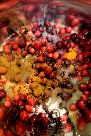 instant pot cranberry sauce