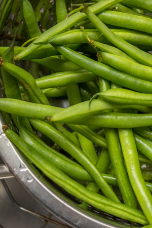 fresh green beans 