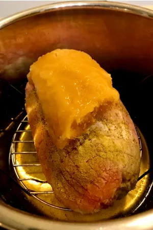 instant pot frozen turkey breast