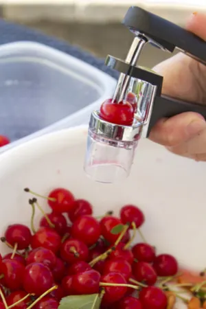 homemade cherry pie