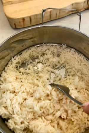 Instant pot chicken and rice