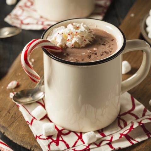 instant pot blender hot chocolate