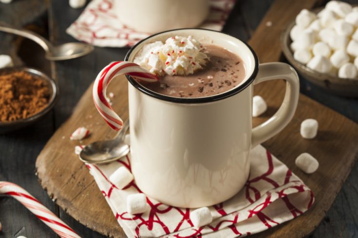 Instant Pot Hot Chocolate