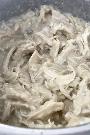 instant pot creamy shredded chicken