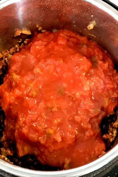 instant pot nacho dip