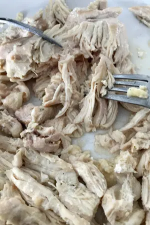 instant pot creamy shredded chicken