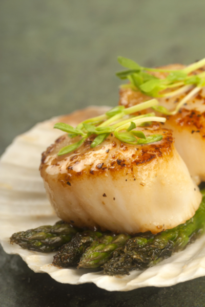 pan seared sea scallops