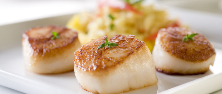 Pan Seared Sea Scallops Drizzled With Herb Butter pan seared sea scallops