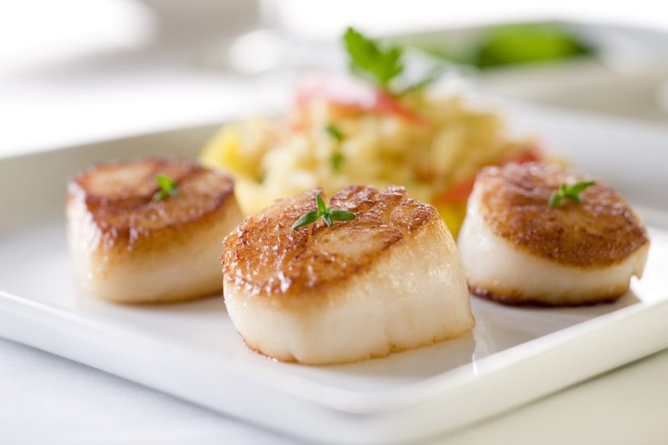 pan seared sea scallops