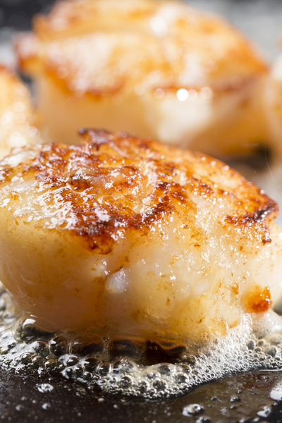 pan seared sea scallops