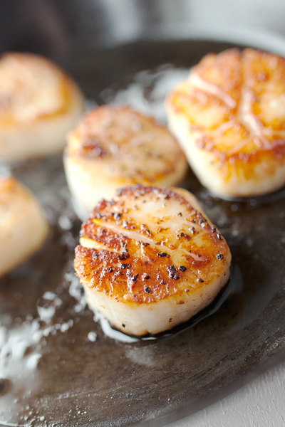 pan seared sea scallops