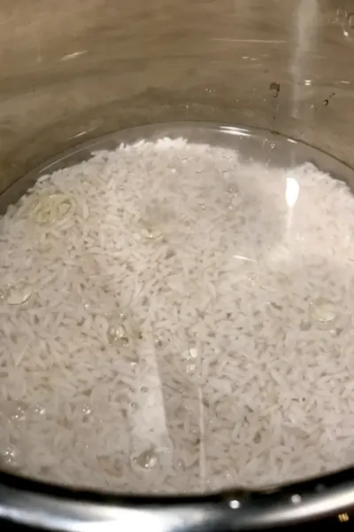 rice and water in instant pot liner