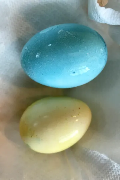Easter Eggs In Instant Pot drying