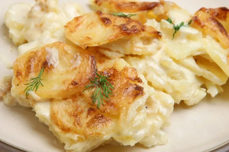 scalloped potatoes