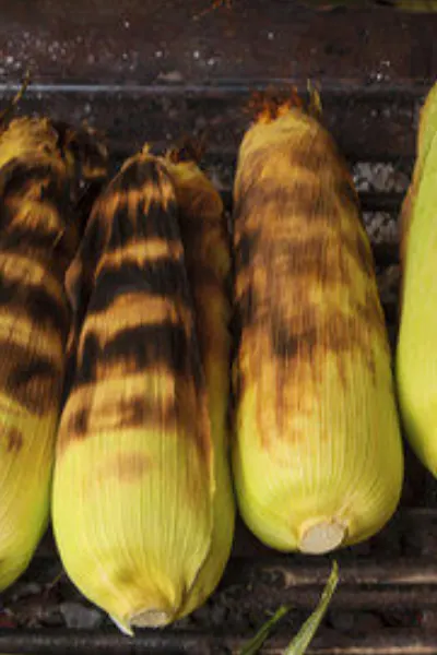 char marks on corn 