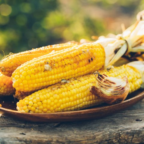 Grilled Corn on the Cob