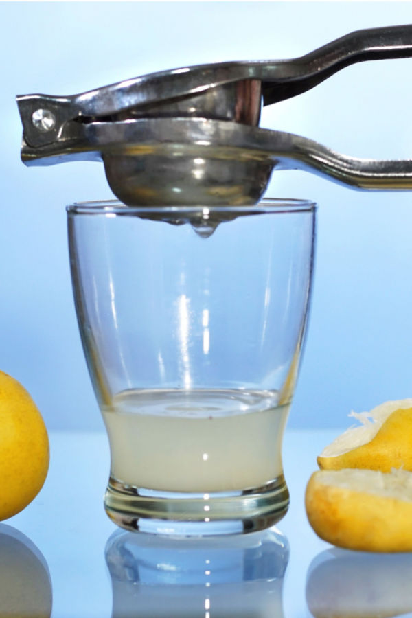 fresh squeezed lemon juice 
