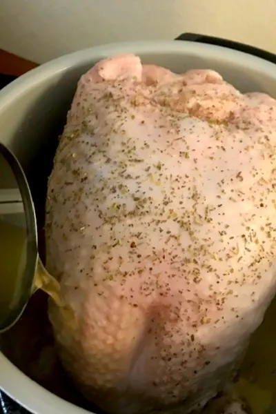 instant pot frozen turkey breast 