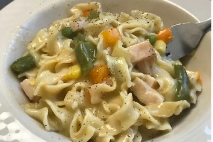 Instant Pot Turkey Noodle Casserole