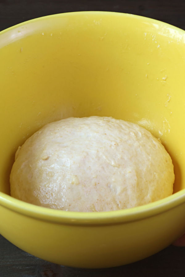 rising no knead dinner roll dough
