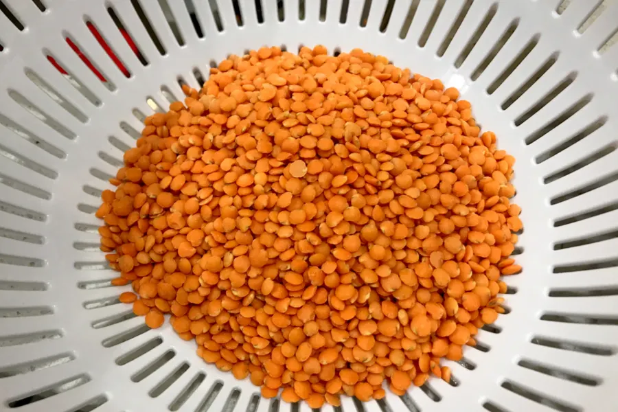 red lentil 