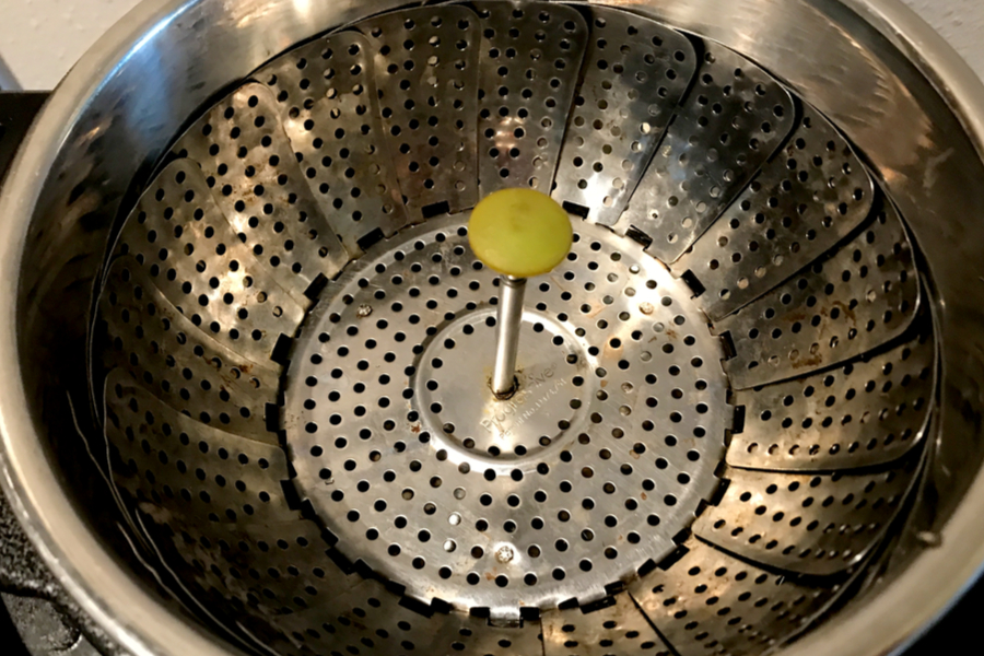 steamer basket for instant pot edamame
