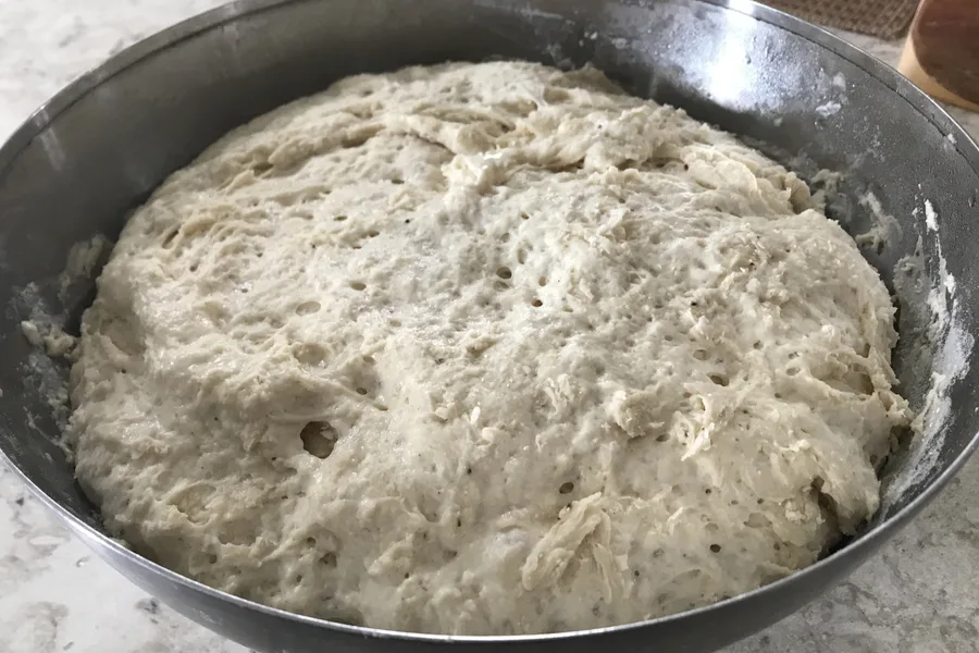 dough rising 
