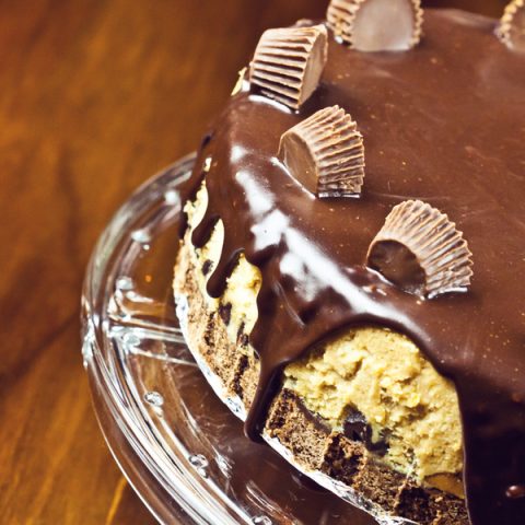 Instant pot peanut butter cheesecake