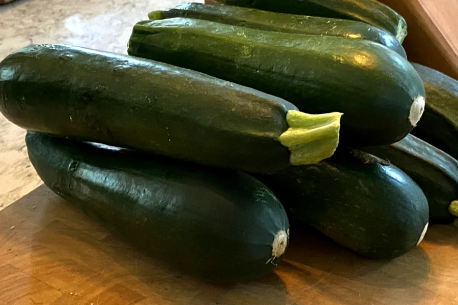 zucchini from the garden 