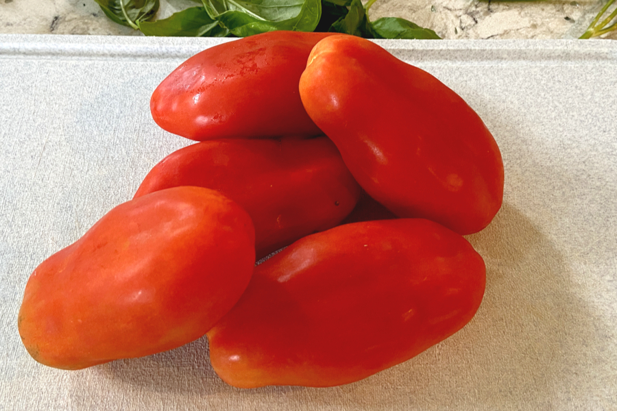 san marzano tomatoes 