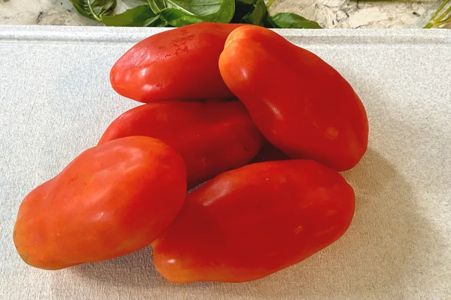 san marzano tomatoes 