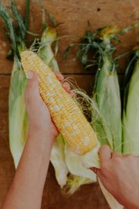 shucking corn