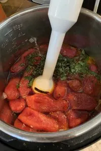 Immersion Blender tomto sauce