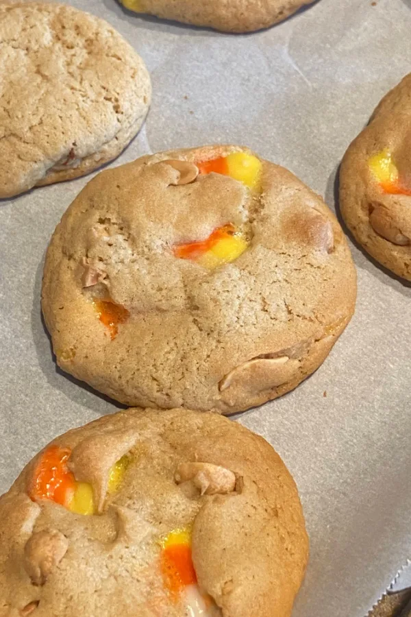 candy corn cookies baked