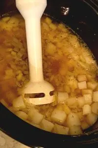immersion blender in slow cooker