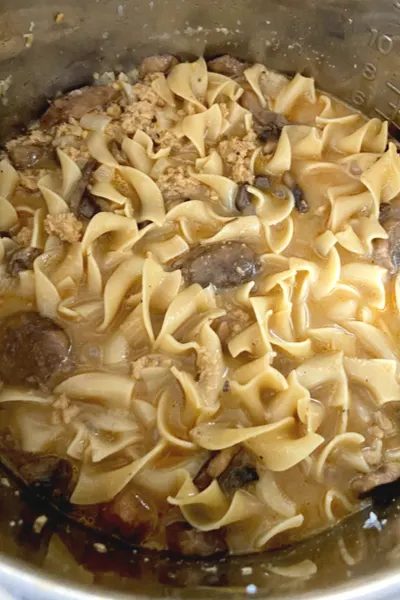 instant pot stroganoff