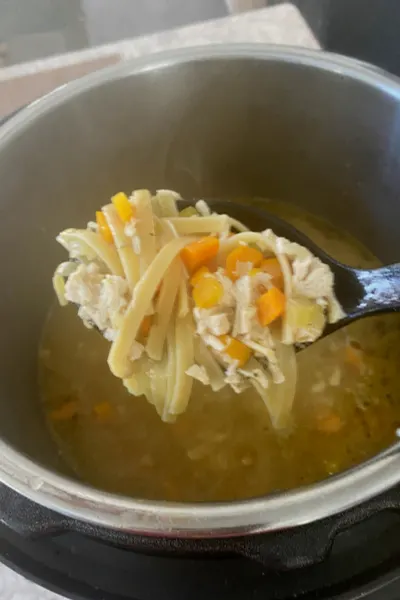 instant pot chicken noodle soup 