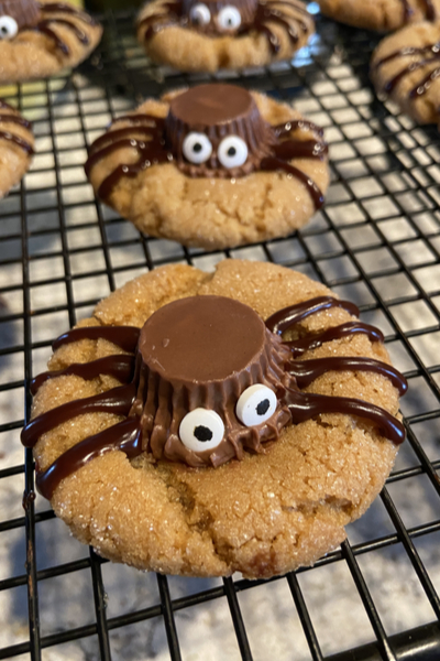 spider halloween treat