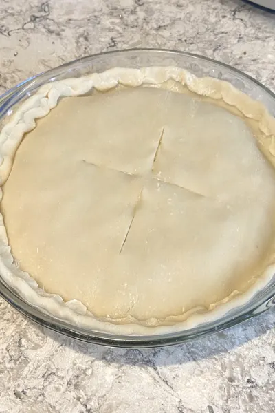 turkey pot pie crust