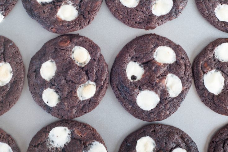 hot cocoa cookies