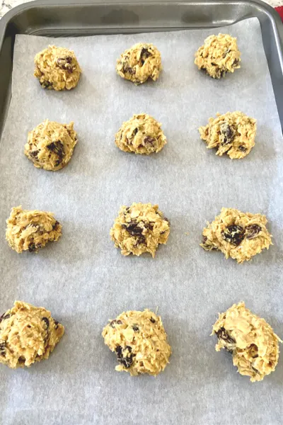 oatmeal raisin cookie dough balls 