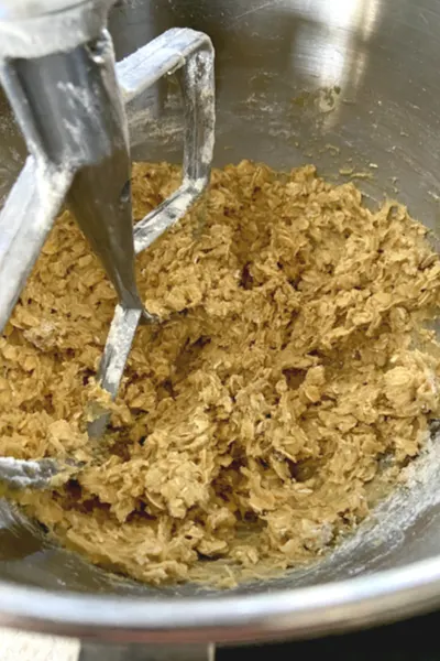 oatmeal dough 