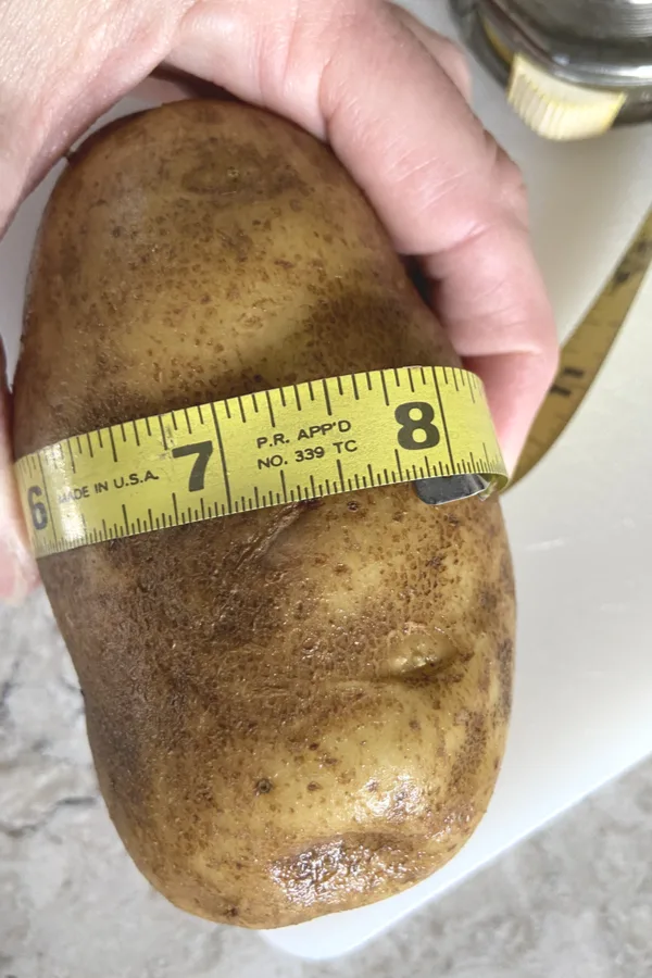 8 inch round potatoes 